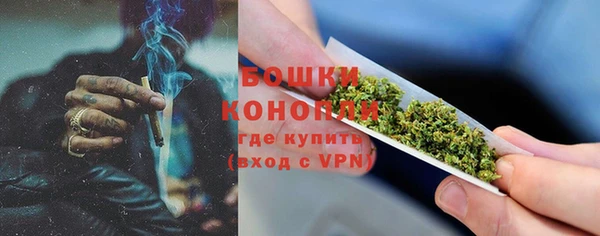 твердый Богданович