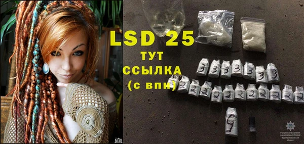 твердый Богданович