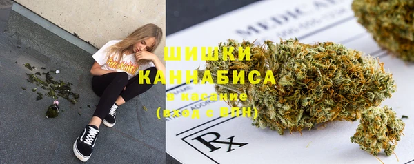 твердый Богданович