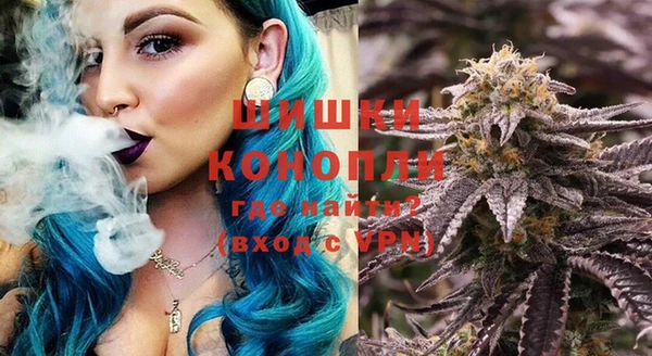 твердый Богданович